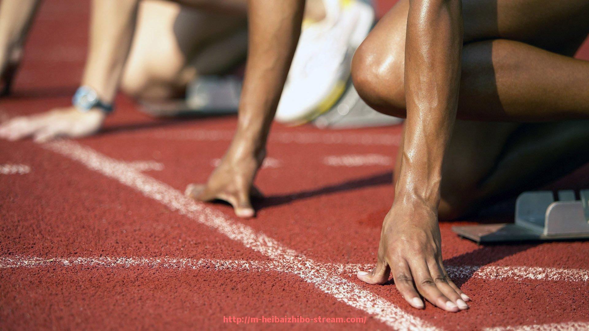 黑白体育直播-意甲球队高清队徽头像免费下载合集