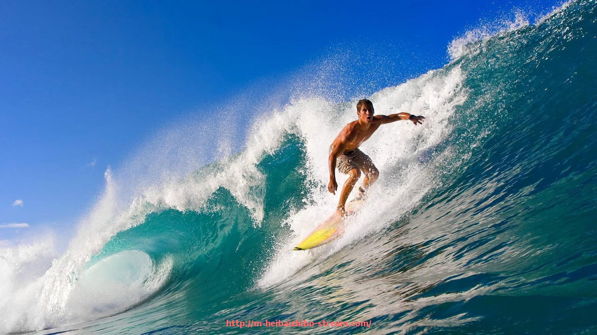 黑白体育直播-戈米这位球员在法甲的表现如何？（戈米是什么意思）